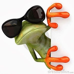 Meet your Posher, Robin